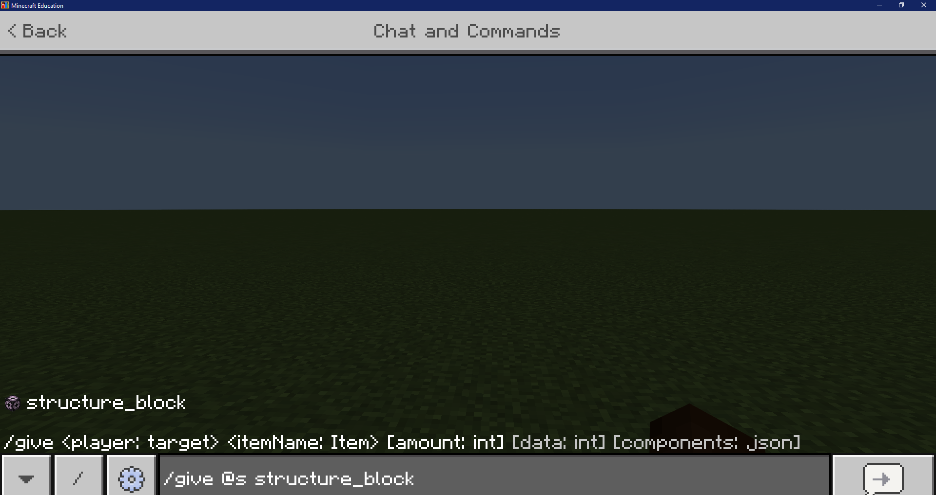 Type in Give Command